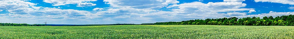 Minimax-Feuerlöscher mit umweltfreundlicher Effektiv-Salzlösung